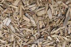 biomass boilers Mossy Lea